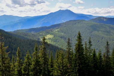 Karpat dağlarındaki dağ manzarası