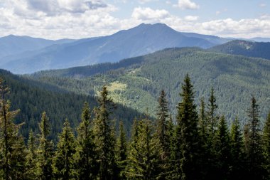 Doğanın güzel manzarası