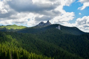 dağ tepe yeşil orman ile