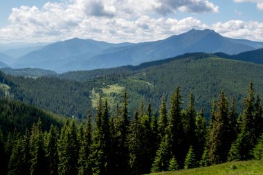 Karpat Dağları'nın yaz manzara