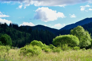Dağlardaki güzel yaz manzarası