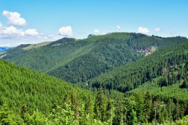 Dağların güzel manzarası