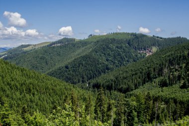 Karpatlar 'daki güzel dağ manzarası