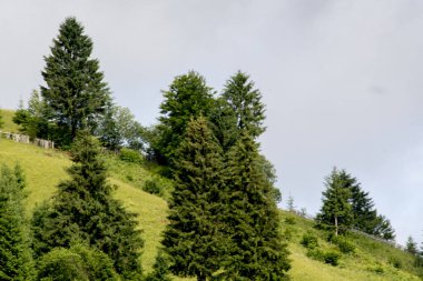 Karpat Dağlarının güzel manzarası