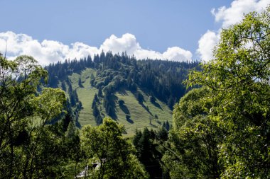 Yazın Karpat Dağları 'nda güzel dağ sıraları