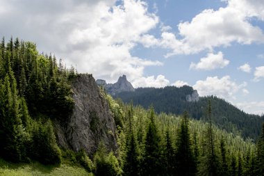 Yazın Alp Dağları 'nın güzel manzarası.
