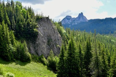 Karpatlar güzel manzara