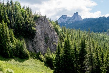 Karpatlar'ın dağ manzarası