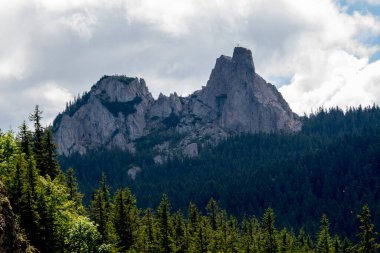 bulutlu bir günde yeşil çam ağacıyla kayalık bir dağ manzarası