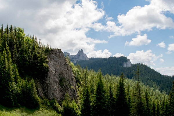 прекрасный вид на горы Альп летом.