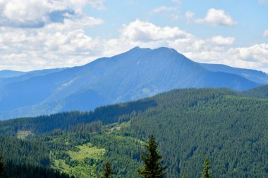 Karpat dağlarında güzel bir yaz manzarası