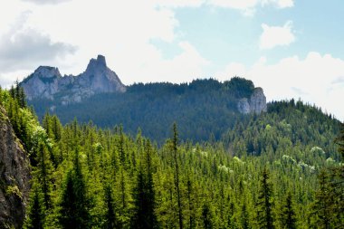 Ağaçlarla çevrili kayalık bir dağın güzel bir görüntüsü.