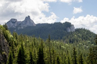 Yazın doğa manzaralı güzel dağ manzarası