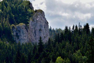 Yeşil ağaçlı güzel dağ manzarası