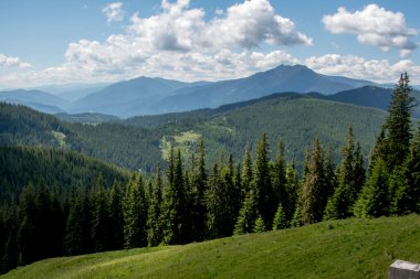 Dağlarda yaz manzarası