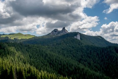Bulutlu gökyüzünün altında ormanı olan kayalık dağların güzel bir görüntüsü.