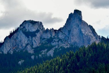 Ağaçlı yeşil bir ormanda kayalık bir dağ zirvesi ve arka planda mavi bir gökyüzü.