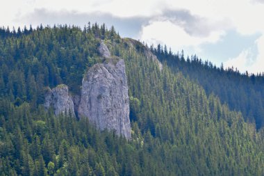 Slovakya 'da güzel bir dağ manzarası.
