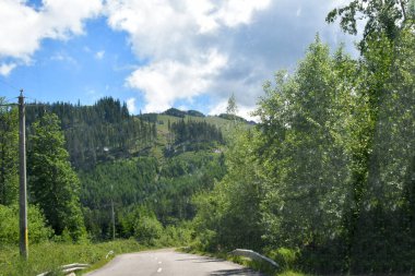 dağlarda ormanda yol.