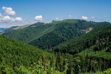 Ukrayna Karpatlarının güzel manzarası