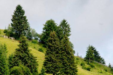 Dağın tepesinden manzara