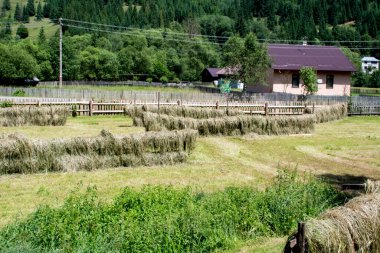 Karpatya dağlarındaki saman yığınları