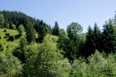 Arkadaki dağlarda yeşil ağaçlar ve mavi gökyüzü