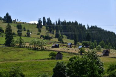 Yaz aylarında Karpat dağ manzarası