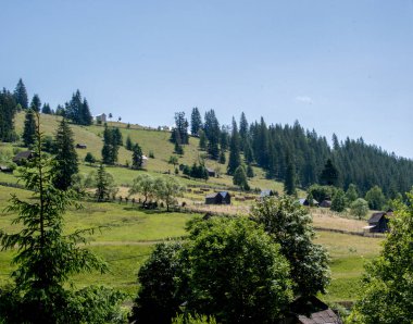Yazın dağ manzarası