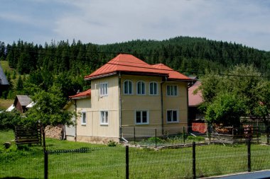 Yeşil çimenli ahşap ev