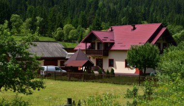 Doğanın güzel manzarası