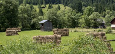 Bulutlu bir günde, ormandaki ahşap bir evin güzel bir görüntüsü.