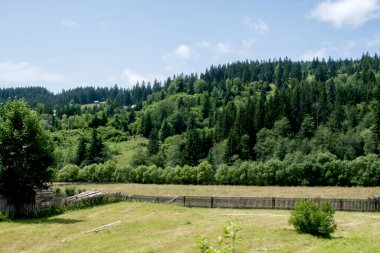 Yeşil ağaçları ve mavi gökyüzü olan güzel bir manzara.