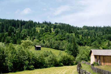 Ukrayna 'nın Karpatlar bölgesindeki güzel dağ manzarası