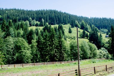 Dağ manzarası Karpat Dağları, Ukrayna.
