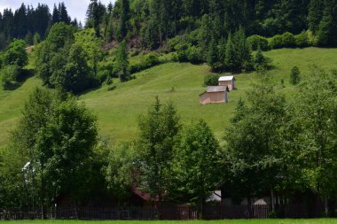 Köyde yeşil çayır ve dağ köyü olan yaz manzarası.