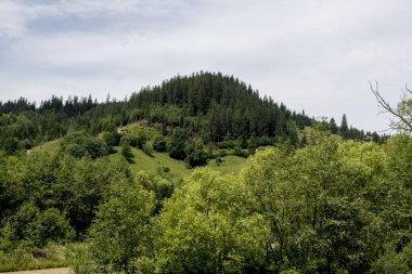 dağlar yeşil ağaçların