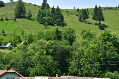 Güzel bir yaz manzarası Dağlarda ormandaki bir köyle