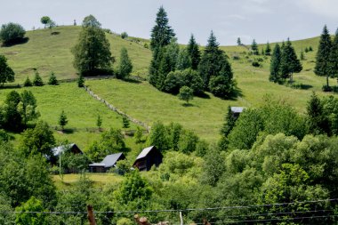 Dağlardaki yeşil orman