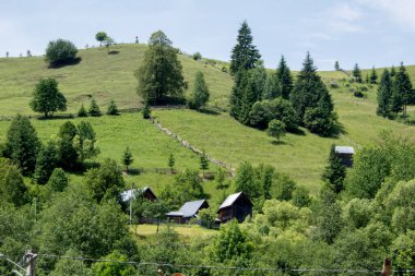 Dağlarda ağaçları olan güzel yeşil bir manzara..