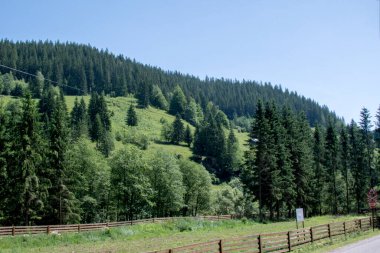 Yazın Karpat Dağları manzarası