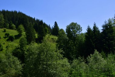 Dağların güzel manzarası