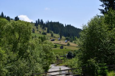 Yeşil bir dağ yolunun ortası yeşilliklerle çevrili güzel bir görüntüsü. Doğu dağları hindiyle çevrili.