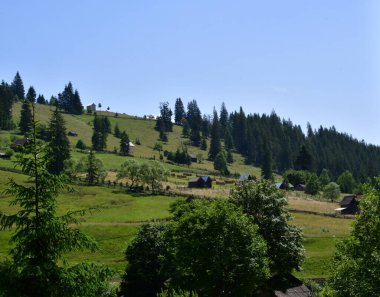 Karpat Dağları manzarası