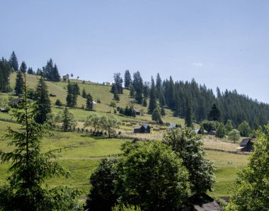 Karpatlar 'da bir dağ köyü olan güzel bir yaz manzarası