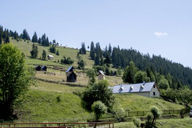 Doğanın güzel manzarası