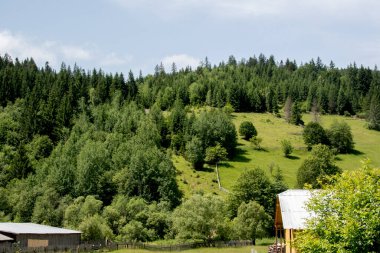 Dağ eviyle güzel bir yaz manzarası