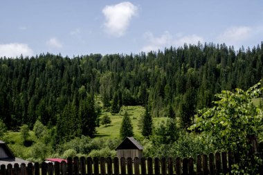 Yazın güzel dağ manzarası