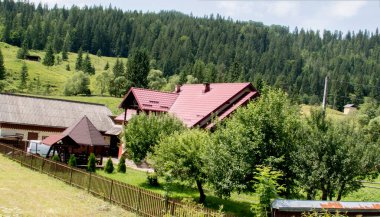 Yeşil çimenlikte küçük bir ev. yüksek kaliteli fotoğraf