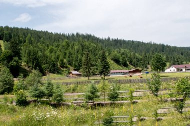 Doğanın güzel manzarası